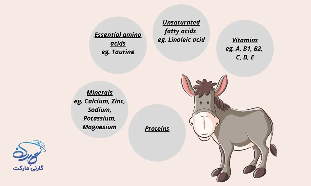 ترکیبات اصلی کرم شیر الاغ